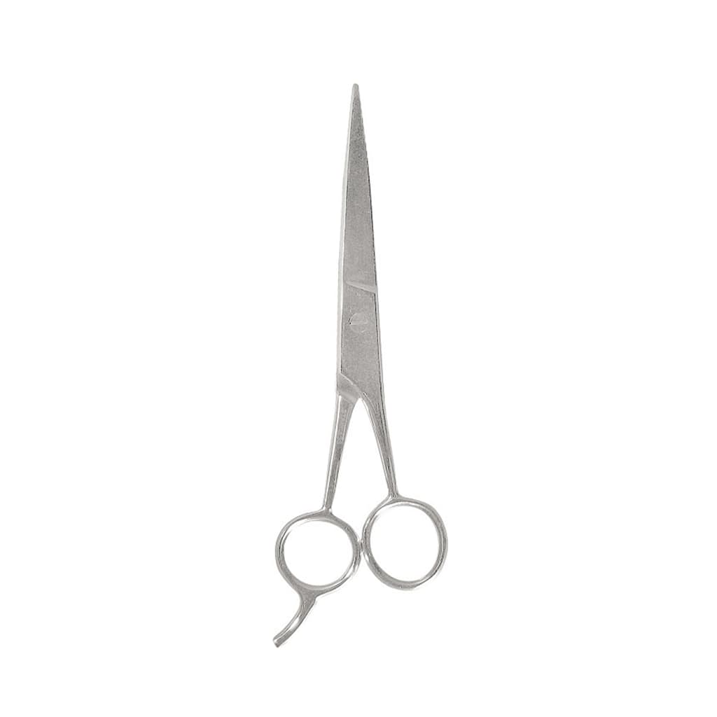 Ciseaux de coiffeur inox 15 cm-1050/31
