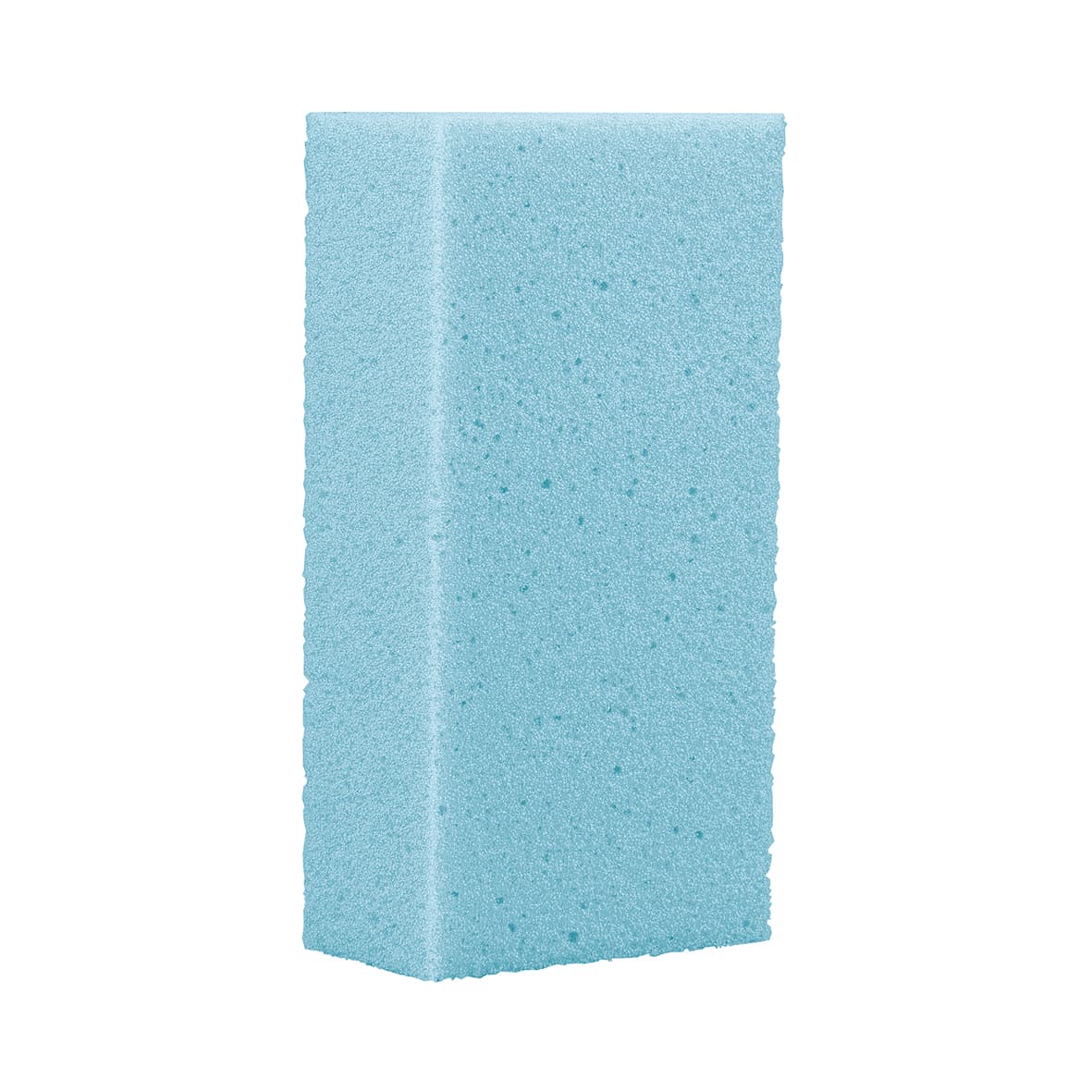 Eponge ponce standard s/carte antibactériens-2034/AB